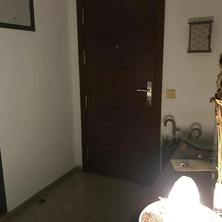Buena Vista Проживание в семье